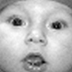Cropped "elf" image
