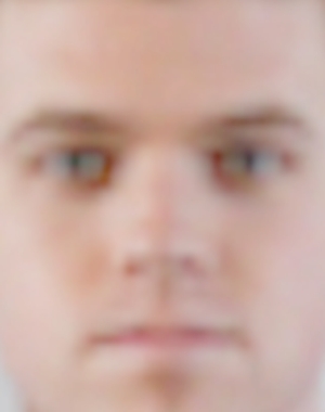 Third guess for the input image.