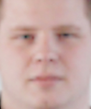 Second guess for the input image