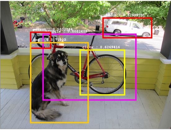 Picture of a dog