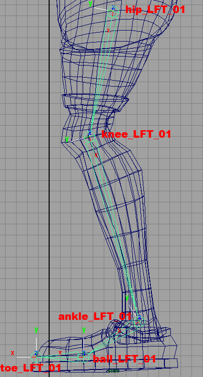 leg joints side