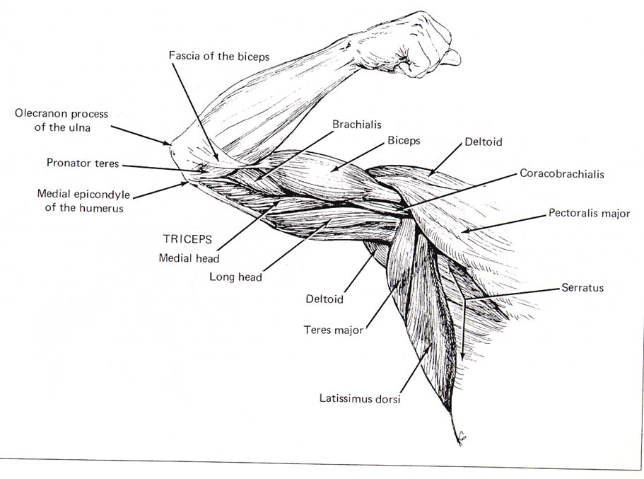 CSE490CA Spr2000 Reference materials