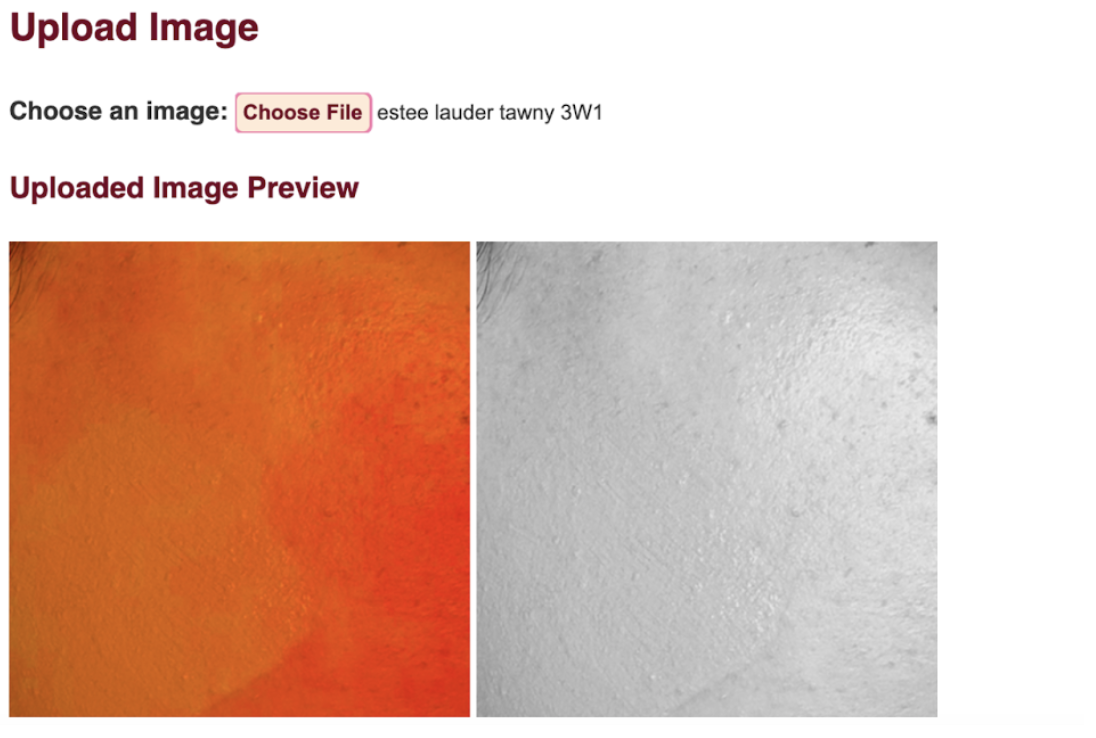 Image of a web page with a form to upload an image and a preview window with two images. The images are the same of a cheek with a swatch of foundation. The left image is highly saturated, and the right image is in black and white.
