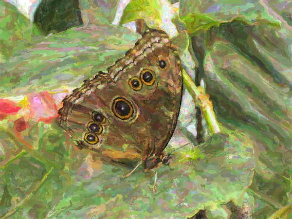 Impressionist painting of a butterfly