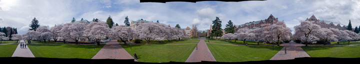 UW Quad Pano Small