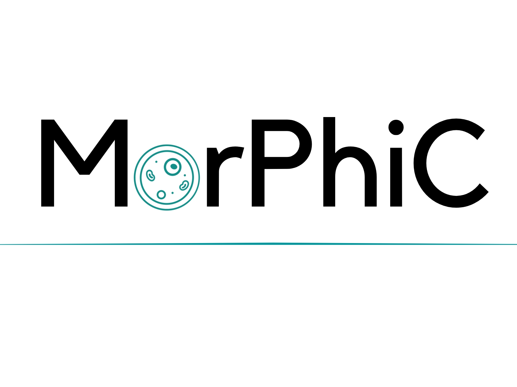MorPhiC